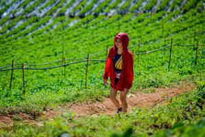 BIB: 
                            <button type="button" onclick="openModal(19164767)" class="btn btn-primary btn-sm float-right btn-popup" data-toggle="modal" data-target=".modal-high-quality">
                        <i class="fas fa-shopping-cart"></i> Add to Cart
                    </button>
                                            <button type="button" onclick="isThisMe(19164767, true)" class="btn btn-success btn-sm float-right btn-popup btn-isme hidden" data-toggle="tooltip" data-placement="bottom" title="นี่คือรูปของคุณใช่ไหม คลิกที่นี่เพื่อเอาเข้าอัลบั้ม">
                        <i class="fas fa-plus"></i> Add to album
                    </button>
                    <button type="button" onclick="isThisMe(19164767, false)" class="btn btn-warning btn-sm float-right btn-popup btn-isnotme hidden">
                        <i class="fas fa-ban"></i> Remove from album
                    </button>